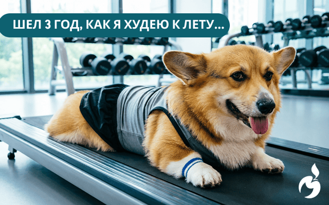 Нужно ли менять физическую нагрузку и питание с наступлением теплых месяцев?